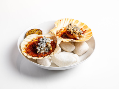 Roasted Halibut, Scallops